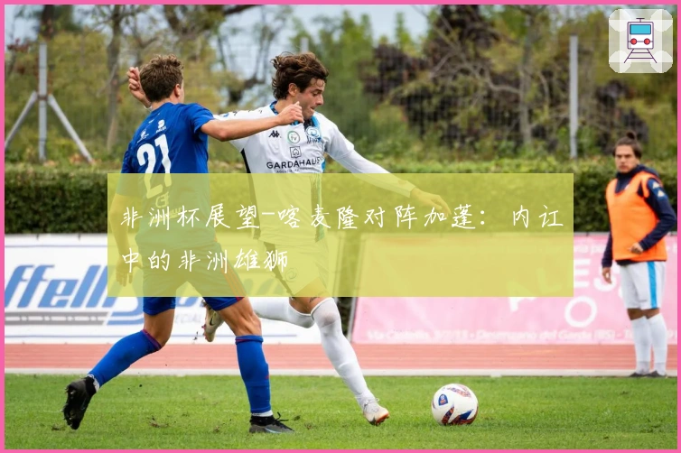 非洲杯展望-喀麦隆对阵加蓬：内讧中的非洲雄狮